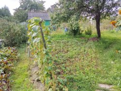 Земельный участок в Чувашии, 568 кв.м. 