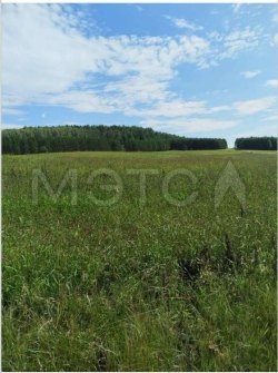 Земельный участок в Свердловской обл., 161579 кв.м. 