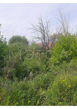 Здание 24 кв.м. и земельный участок 800 кв.м. в Курганской обл. 