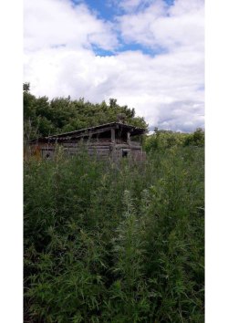 земельный участок