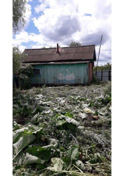 Земельный участок, жилое помещение (здание)