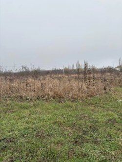 земельный участок