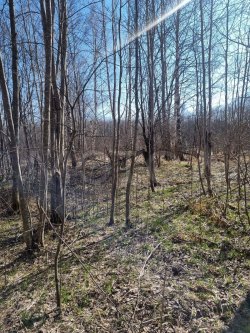 Земельный участок в Тверской обл., 1000+/- 11 кв.м. 