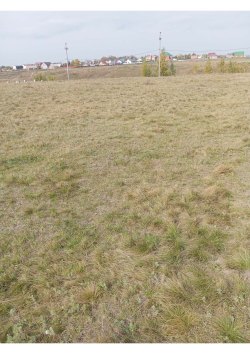 Земельный участок, кадастровый номер: 55:26:300701:197, виды разрешенного использования объекта…