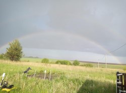 лот № 1: земельный участок площадью 1500 кв.м., категория земель: земли сельскохозяйственного…