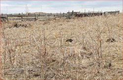 Земельный участок в Башкортостане, 3118 кв.м. 