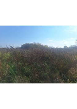 Земельный участок