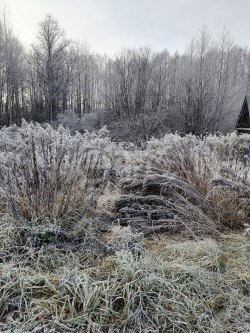 Земельный участок в Марий Эл, 257 кв.м. 