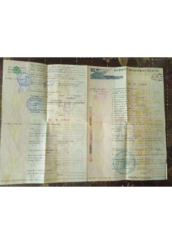 Синицин Виктор АлександровичЛегковой автомобиль, марка: MAZDA-BONGO-FRIENDEE, год изготовления:…