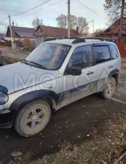 Chevrolet Niva, 2004 года, 79,6 лс, 533895 км, полный привод 