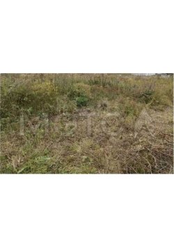 Земельный участок в Курской обл., 155 кв.м. 