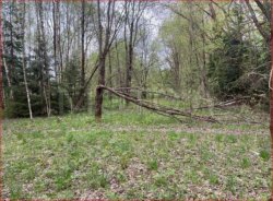 Земельный участок в Московской обл., 722 +/- 19 кв.м. 