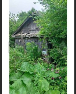 1/2 доля дома и 1/2 доля земельного участка в Приморском крае 