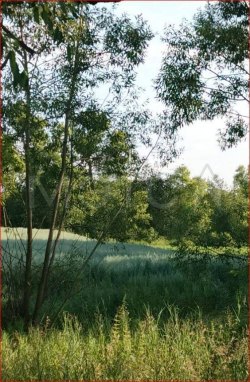 Земельный участок в Пензенской обл., 1833 кв.м. 