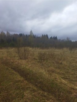 Горбунов Е.В.первые торги Лот №1