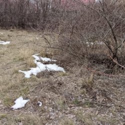 Жилой дом с земельным участком.