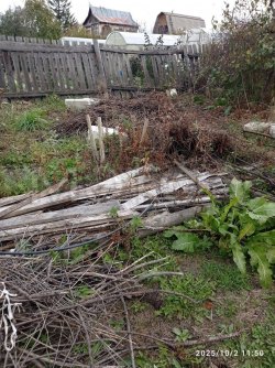 1/2 доля земельного участка в Кургане 