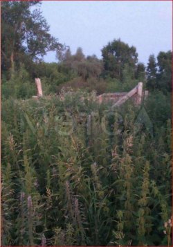 1/5 доля здания и 1/5 доля земельного участка в Татарстане 