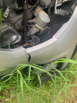 Торги по продаже имущества должника Стешенко Лии Раисовны Лот №1  Лот №1