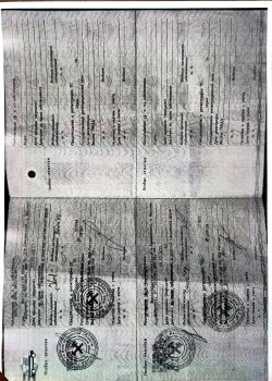 Volkswagen Golf, 2000 года, 75 лс 