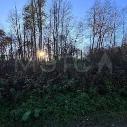 Земельный участок в Ленинградской обл., 506 кв.м. 