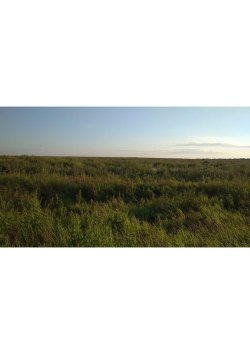 земельный участок