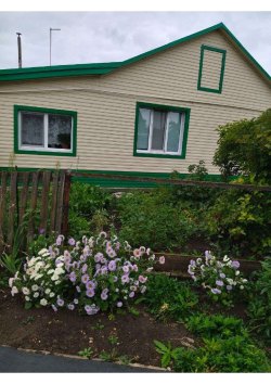 Гришин Андрей Петрович  Лот №1