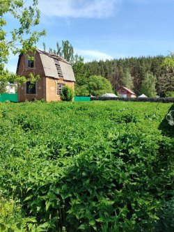 Земельный участок, площадь: 911кв.м.,
адрес (местонахождение): обл.
Московская, р-н Луховицкий…