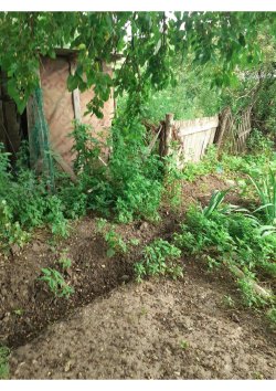 1/10 доли в праве на жилое здание, кадастровый номер: 23:41:0204001:218, площадь: 74.2 кв. м.; вид…