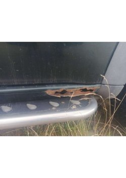 Автомобиль Land Rover Freeland, 2001 г.в., VIN SALLNABF81A343366, государственный регистрационный…