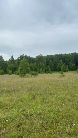 1/3 доля в праве на земельный участок,площадь: 1 500 кв.м., адрес(местонахождение): Челябинская…