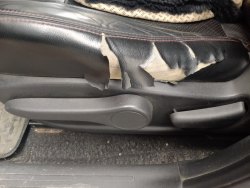 Автомобиль легковой, марка: Ниссан ,
модель: Жук , VIN:
JN1FANF15U0110785, гос. рег…