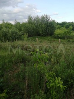 Земельный участок в Оренбургской обл., 960 кв.м. 