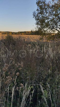 Земельный участок во Владимирской области, 700 кв.м. 