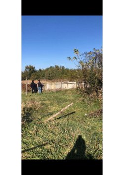 Жилое здание, площадь: 31,5кв.м.,кадастровый номер: 26:04:050203:679 иземельный участок , площадь:…