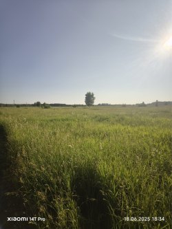 Земельный участок в Новосибирской обл., 525 кв.м. 