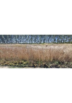 Гордеев В.Д. - Земельный участок, адрес: Краснодарский край,р-н Славянский, п. Садовый, ул…