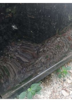 транспортное средство: БМВ 116I, Идентификационный номер (VIN номер): WBAUE11030E152653, Год…