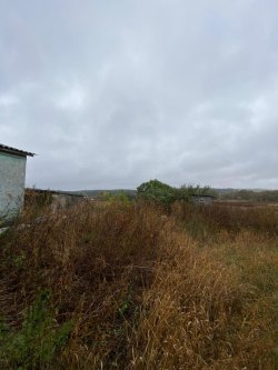 Дом 48,8 кв.м. и земельный участок 3000 кв.м. в Тамбовской обл. 