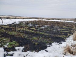 Земельный участок в Курганской обл., 1200 кв.м. 