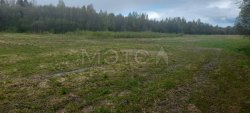 Земельный участок в Вологодской обл., 56000 +/- 83 кв.м. 