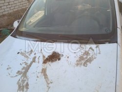 Renault Logan, 2011 года, 75 лс 