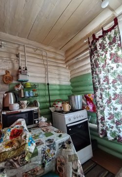 Дом с земельным участком Зариповой Альбины Рифовны Лот №1 Лот №1