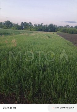 Земельный участок в Курской обл., 1500 кв.м. 