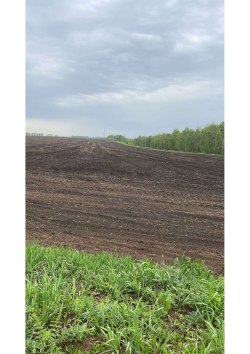 земельный участок