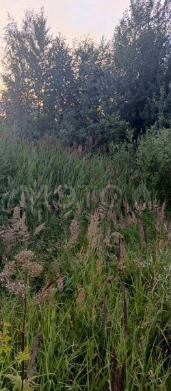 Земельный участок в Свердловской обл., 1200 кв.м. 