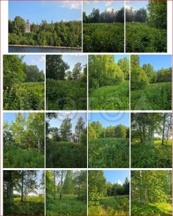 Земельный участок в Вологодской обл., 19000+/-970 кв.м. 