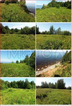 Земельный участок в Вологодской обл., 19000+/-381 кв.м. 