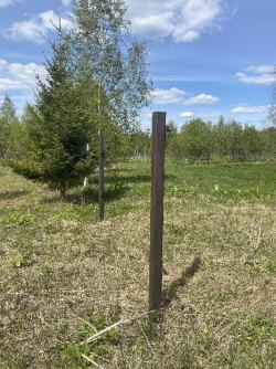 Земельные участки (16 поз.) - 52 310 +/- 162 кв. м, адрес: Ярославская область, р-н, Переславский…