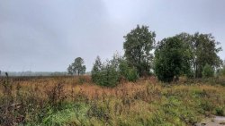 Земельный участок - 156 886 кв. м, местоположение установлено относительно ориентира…